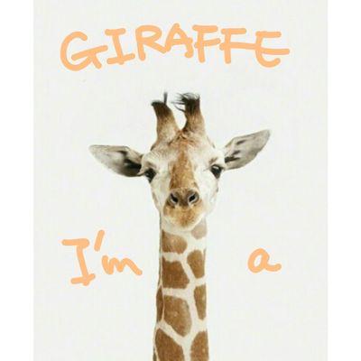 Profile Picture of HeidiHsu (@HsuHeidi) on Twitter