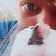 Profile Picture of Krishna Anand (@Krishnaanand010) on Twitter