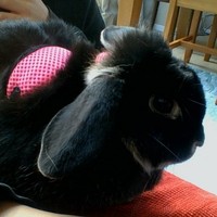 Profile Picture of Ruby Schroder (@ruby-schroder-2) on Quora