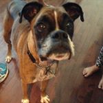 Profile Picture of Audrey Traphagan (@audreytraphagan) on Instagram