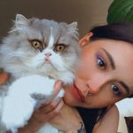 Profile Picture of Erin Frame (@erinoliviaframe) on Instagram
