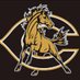 Profile Picture of Dark Horse Football (@DarkHorseFball) on Twitter