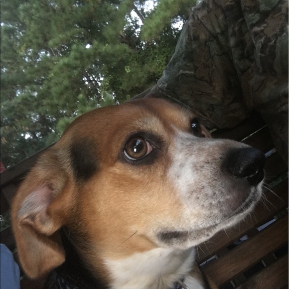 Profile Picture of Julie Bedenbaugh (@jbeden) on Poshmark