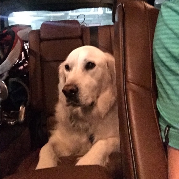 Profile Picture of Jim Andersen (@jamestandersen) on Poshmark