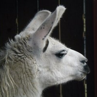 Profile Picture of Jan Marshall (@Marshall10J) on Twitter