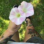 Profile Picture of Tori Budd (@tbudd13) on Instagram