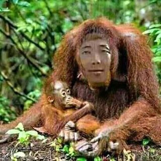 Profile Picture of Niro Nishida (@ralph.laurel.9404) on Facebook