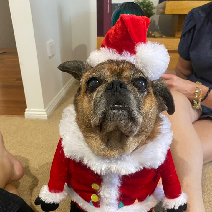 Profile Picture of Thomas (@thomas_loveday) on Tiktok