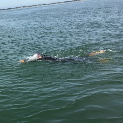 Profile Picture of Dani Collin (@DanCTri) on Twitter