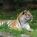 Profile Picture of Bubba James (@bubba.johnston.925) on Facebook