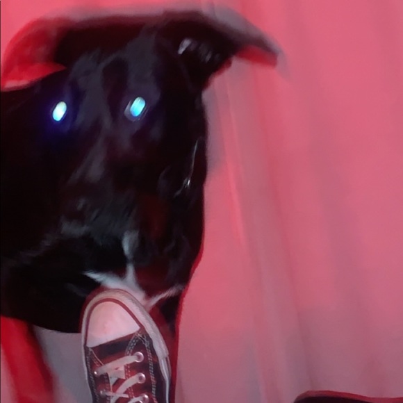 Profile Picture of Jillian Owen (@6ji11ian) on Poshmark