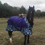 Profile Picture of Debbie Olmsted (@olmsteddebbie) on Instagram