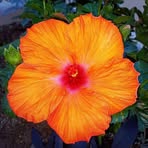 Profile Picture of Catherine McPhatter (@Catherine-McPhatter) on Facebook