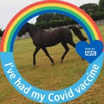 Profile Picture of Sandra Squibb (@sandra.squibb.94) on Facebook