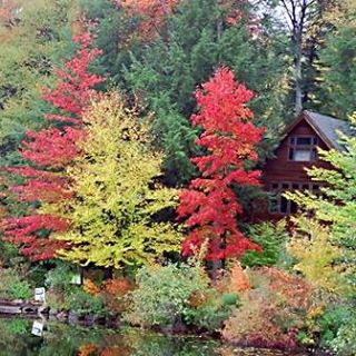 Profile Picture of Francesca Alibrandi (@Francesca-Alibrandi) on Facebook