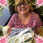 Profile Picture of Janet Aiello (@aiello130) on Instagram