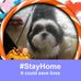 Profile Picture of Nancy Jarrell (@nancy.jarrell.33) on Facebook