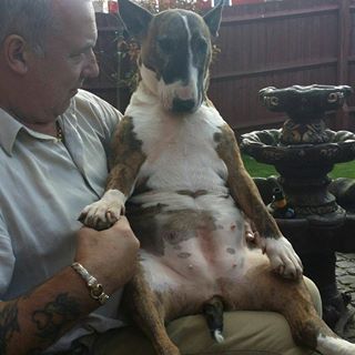 Profile Picture of Wayne Marriott (@wayne.marriott.165) on Facebook