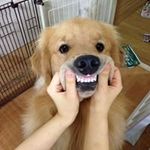 Yuko Terakubo - Instagram Profile Picture of Yuko Terakubo (@reon_yuko) on Instagram