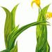Profile Picture of Dhanoa Harpreet (@dhanoa.harpreet.3) on Facebook