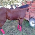 Javier Fong - Instagram Profile Picture of Javier Fong (@fongcampoy) on Instagram