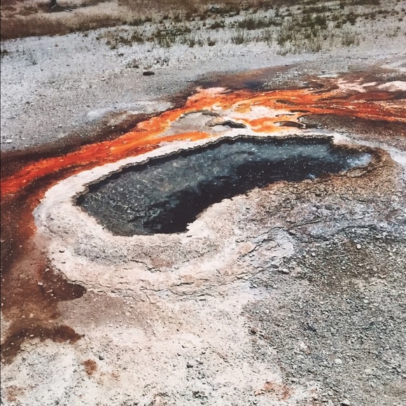 Profile Picture of Arianna Longoria (@ariranae) on Poshmark