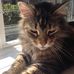 Profile Picture of Margie Hodges (@margie.hodges.10) on Facebook