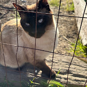 Profile Picture of Curtis Robert’s (@curtisroberts5813) on Youtube