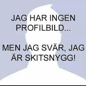 Profile Picture of Jonathan Lindgren (@jonathanlindgren5119) on Youtube