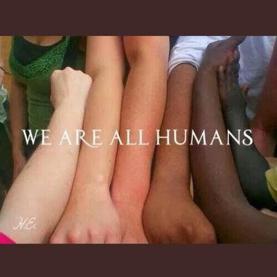 Profile Picture of Étienne Morier (@E_Morier) on Twitter