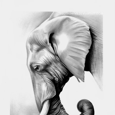 Profile Picture of Tyrone Singletary (@squarelephant1) on Twitter