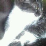 Profile Picture of Dorien Buijk-gesell (@dorienbuijk) on Instagram