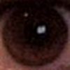 Profile Picture of Kevin Thrash (@Kevin Thrash) on Flickr