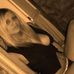 Profile Picture of Nicole Pinkston (@nicole.pinkston.754) on Facebook