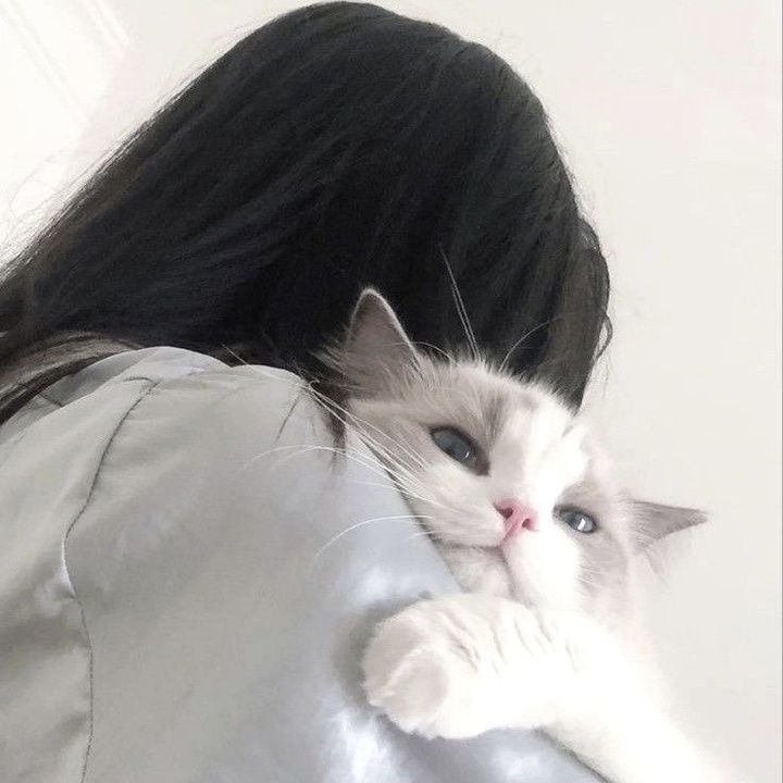 Profile Picture of RobinRivers (@henriygedro) on Tiktok