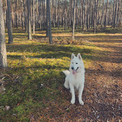 Profile Picture of Marcin Jankowski (@marcinjankowski5580) on Youtube