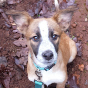 Profile Picture of Daniel Asay (@danielasay7352) on Youtube