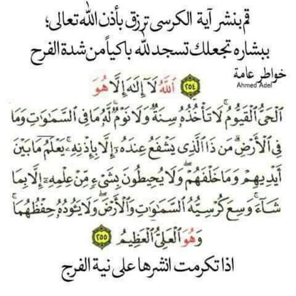 Profile Picture of Nadwa Asfour (@nadwa_asfour) on Poshmark