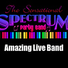 Profile Picture of Martin Sanders (@SPECTRUM PARTY BAND) on Flickr