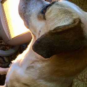 Profile Picture of Giuseppe Nesci (@junes140791) on Pinterest