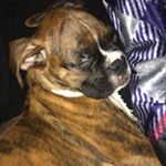 Delores Minor - Instagram Profile Picture of Delores Minor (@deloresminor9) on Instagram