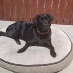 Jason Kieffer - Instagram Profile Picture of Jason Kieffer (@jmkieff23) on Instagram