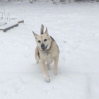 Carole Drumm - Facebook Profile Picture of Carole Drumm (@carole.drumm.31) on Facebook