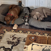 Profile Picture of Blake Sterling  (@user-nz7ly4mm5o) on Youtube