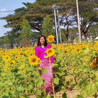 Profile Picture of Soe Sandar Tun (@SoeSand55455101) on Twitter