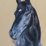 Profile Picture of Jeanfeeney-equineart (@jeanfeeneyequineart) on Instagram