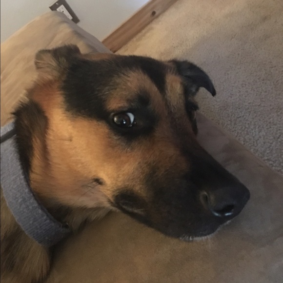 Profile Picture of Paulette Martinez (@pwmartinez) on Poshmark