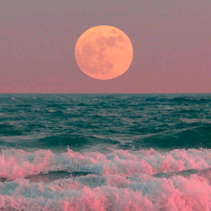 Profile Picture of NATASHA💙 (@natasha_ramnath) on Tiktok