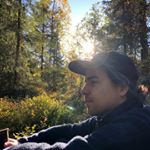 Profile Picture of Andrew Rose (@andrewmichaelrose) on Instagram