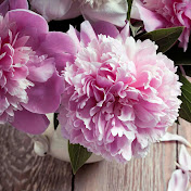 Profile Picture of Kevin Contino (@kevincontino9041) on Youtube